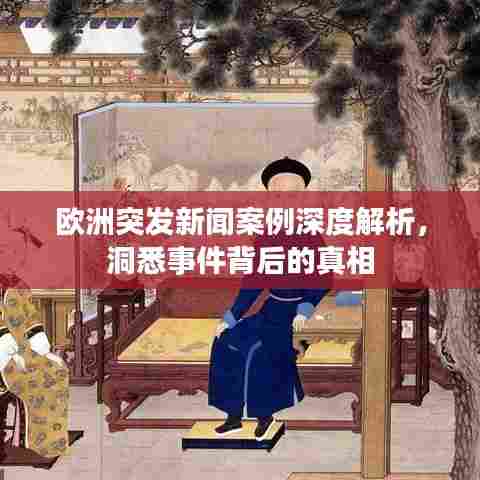 欧洲突发新闻案例深度解析,洞悉事件背后的真相