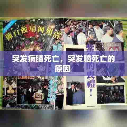 突发病脑死亡，突发脑死亡的原因 