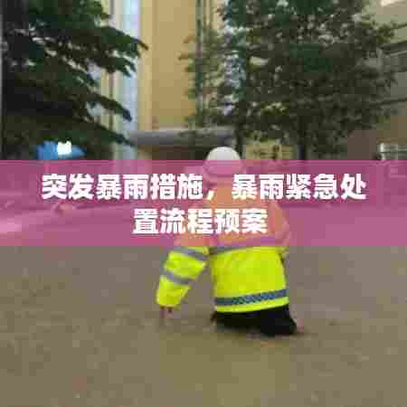 突发暴雨措施，暴雨紧急处置流程预案 