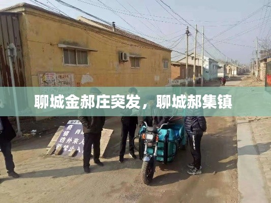 聊城金郝庄突发，聊城郝集镇 