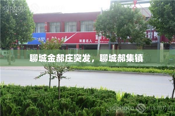 聊城金郝庄突发,聊城郝集镇