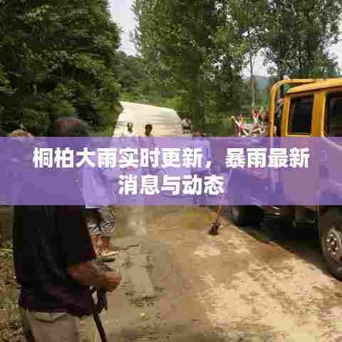 桐柏大雨实时更新，暴雨最新消息与动态