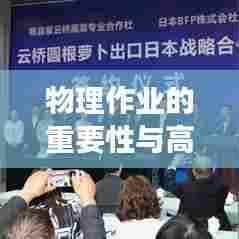 物理作业的重要性与高效落实策略