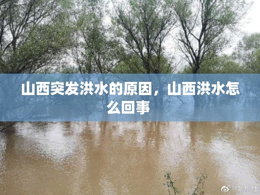 山西突发洪水的原因，山西洪水怎么回事 