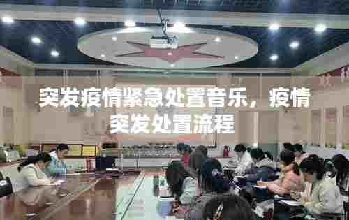突发疫情紧急处置音乐,疫情突发处置流程