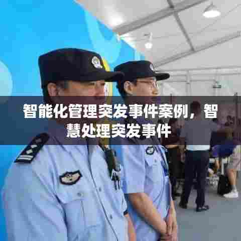 智能化管理突发事件案例,智慧处理突发事件