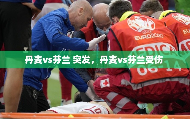 丹麦vs芬兰 突发,丹麦vs芬兰受伤