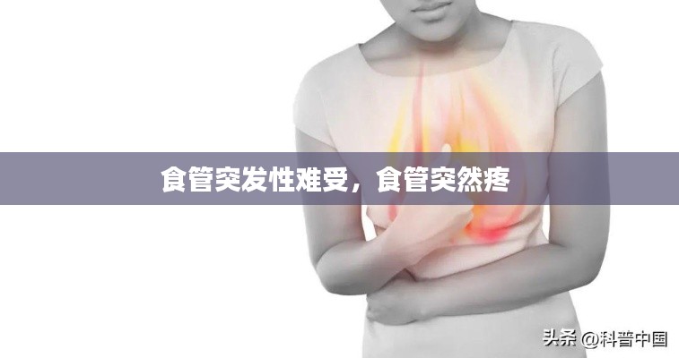 食管突发性难受,食管突然疼