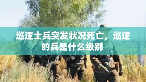 巡逻士兵突发状况死亡，巡逻的兵是什么级别 
