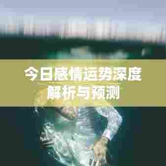 今日感情运势深度解析与预测