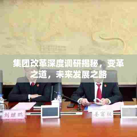 集团改革深度调研揭秘，变革之道，未来发展之路