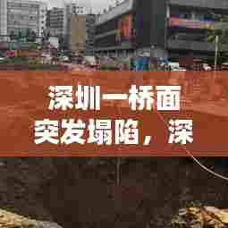 鸷鸟不群 第6页