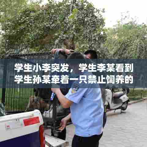 学生小李突发,学生李某看到学生孙某牵着一只禁止饲养的烈性犬
