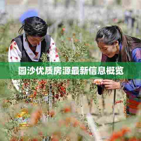 园沙优质房源最新信息概览