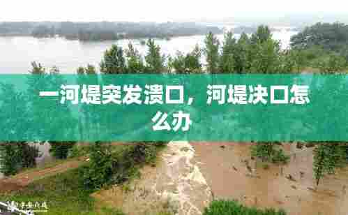 一河堤突发溃口，河堤决口怎么办 