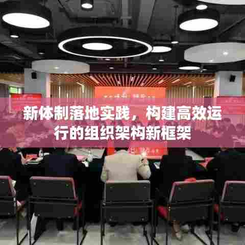 新体制落地实践，构建高效运行的组织架构新框架