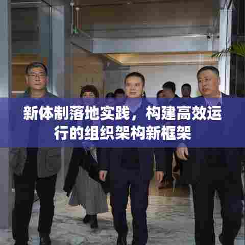 新体制落地实践,构建高效运行的组织架构新框架