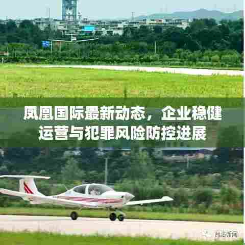 凤凰国际最新动态,企业稳健运营与犯罪风险防控进展