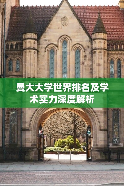 曼大大学世界排名及学术实力深度解析