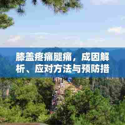 膝盖疼痛腿痛，成因解析、应对方法与预防措施