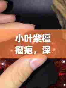 小叶紫檀瘤疤，深度解读与奥秘探索