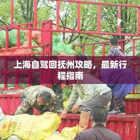 上海自驾回抚州攻略,最新行程指南