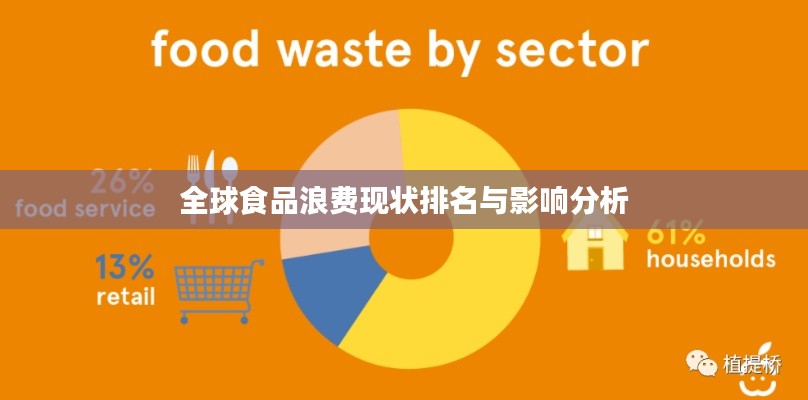 全球食品浪费现状排名与影响分析