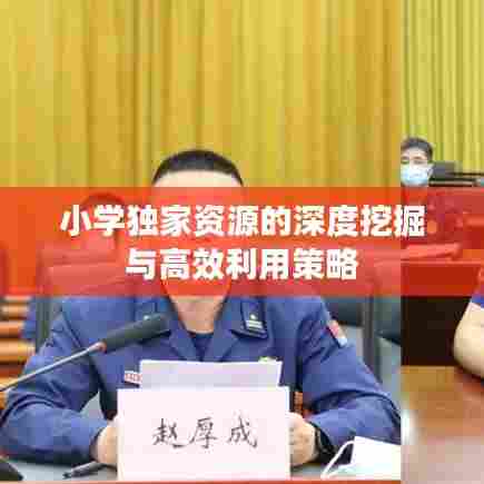小学独家资源的深度挖掘与高效利用策略