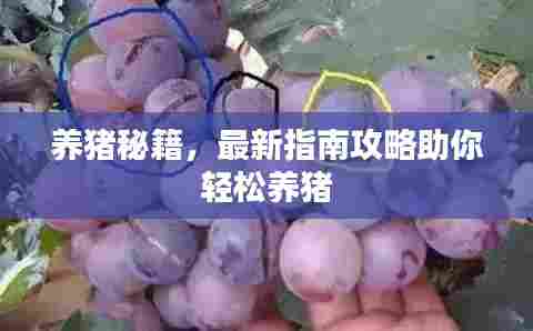 养猪秘籍,最新指南攻略助你轻松养猪