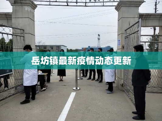 岳坊镇最新疫情动态更新