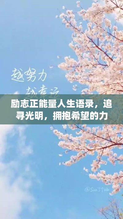 励志正能量人生语录,追寻光明,拥抱希望的力量