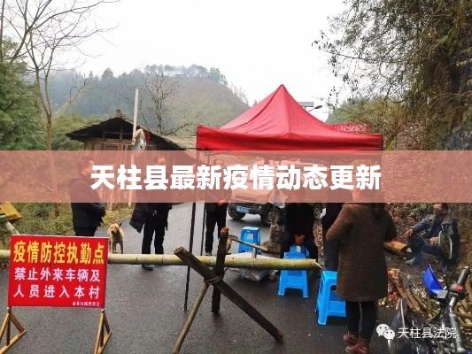 天柱县最新疫情动态更新