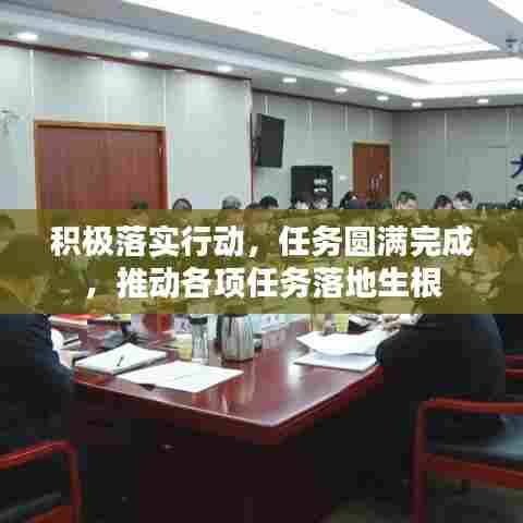 积极落实行动，任务圆满完成，推动各项任务落地生根