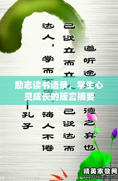 各就各位 第6页