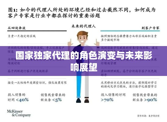 国家独家代理的角色演变与未来影响展望