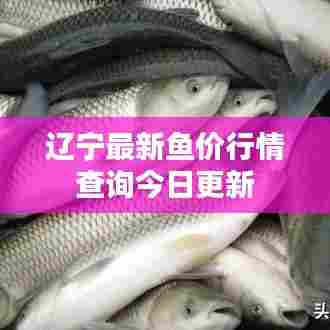 辽宁最新鱼价行情查询今日更新