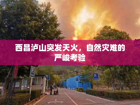西昌泸山突发天火,自然灾难的严峻考验