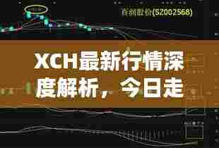 XCH最新行情深度解析，今日走势揭秘