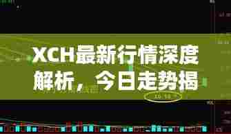 XCH最新行情深度解析,今日走势揭秘