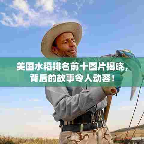 美国水稻排名前十图片揭晓,背后的故事令人动容!