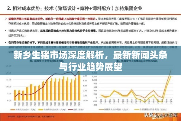新乡生猪市场深度解析，最新新闻头条与行业趋势展望