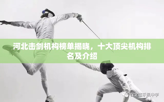 河北击剑机构榜单揭晓，十大顶尖机构排名及介绍