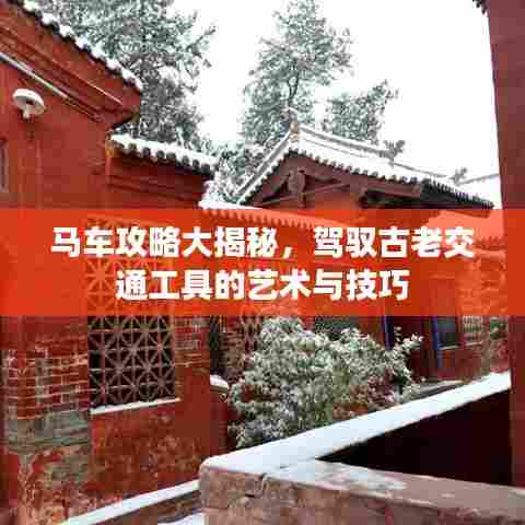 马车攻略大揭秘,驾驭古老交通工具的艺术与技巧