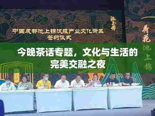今晚茶话专题,文化与生活的完美交融之夜