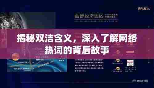 揭秘双洁含义，深入了解网络热词的背后故事