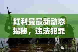 红利曼最新动态揭秘,违法犯罪问题浮出水面