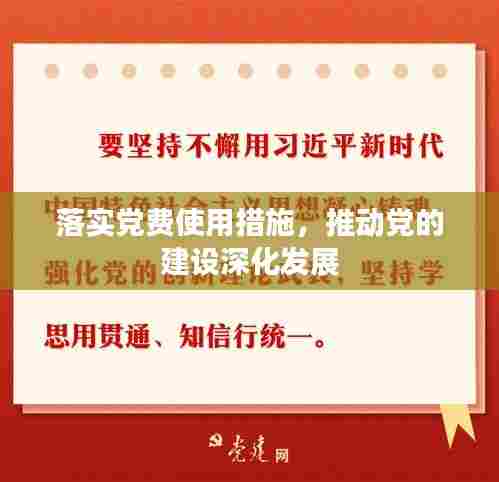 落实党费使用措施,推动党的建设深化发展