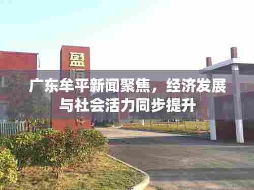 广东牟平新闻聚焦，经济发展与社会活力同步提升