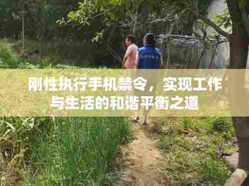 刚性执行手机禁令,实现工作与生活的和谐平衡之道