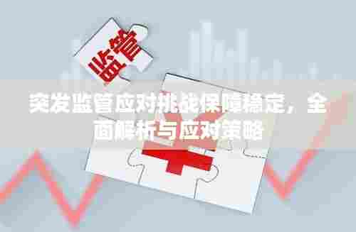 突发监管应对挑战保障稳定，全面解析与应对策略